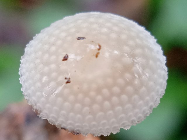 IMG_20211221_084632.jpg