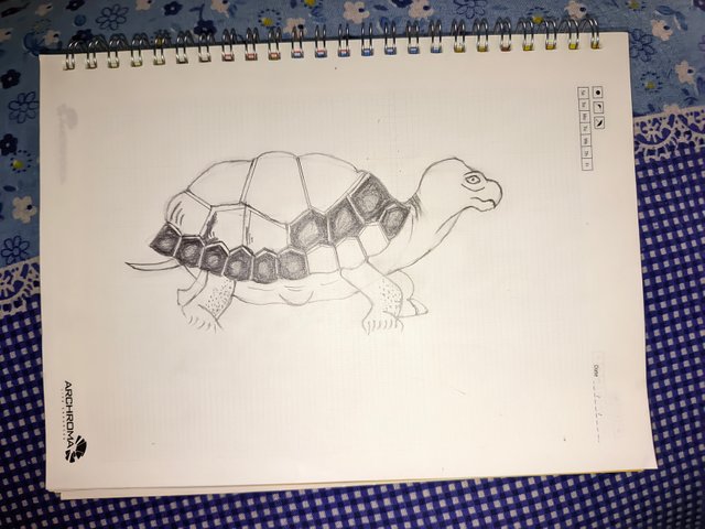 1000007040.jpg