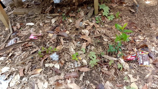 IMG_20250808_111522.jpg