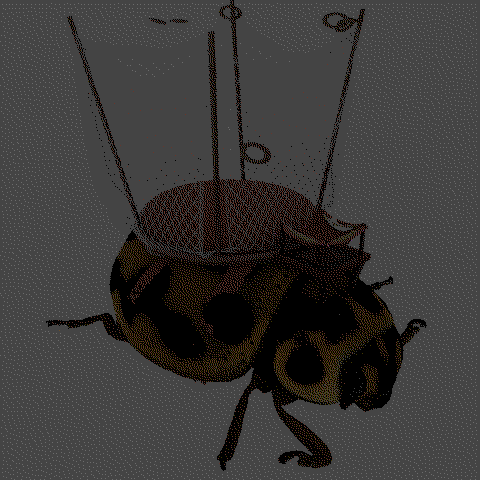 lastbille64.png