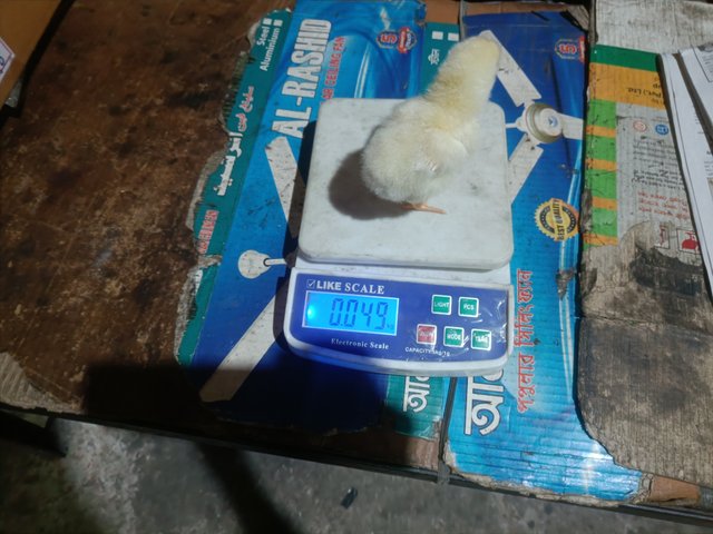 IMG20250430153936.jpg