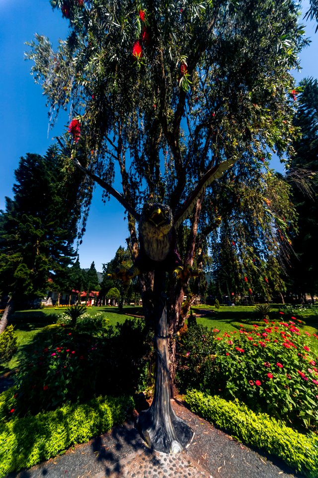 2022_06_21__055969.jpg
