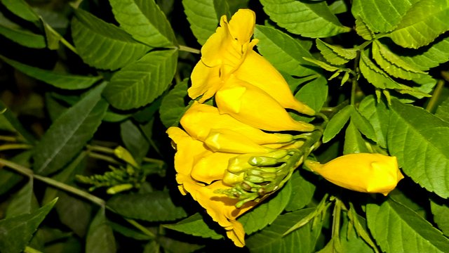 20250214_031309.jpg