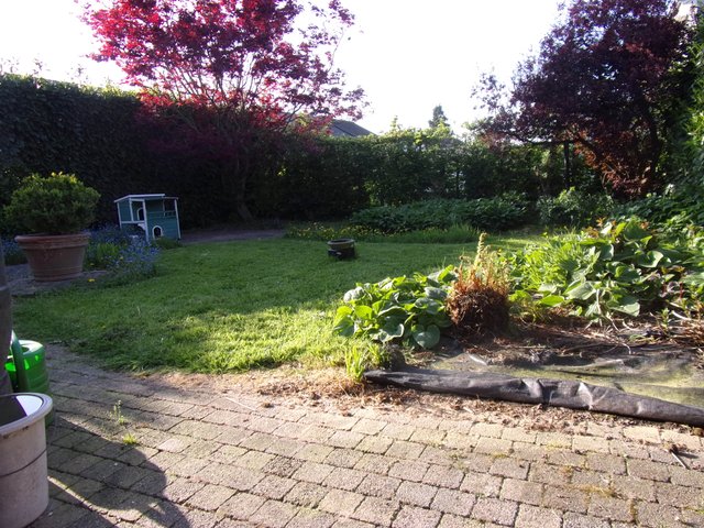 100_2611.JPG