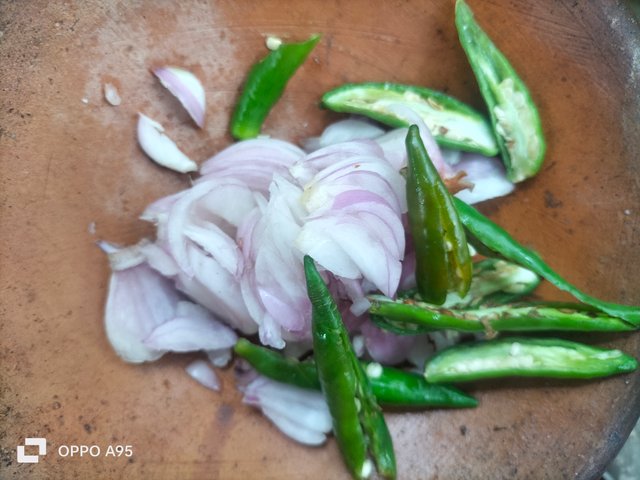 IMG20250501111023.jpg