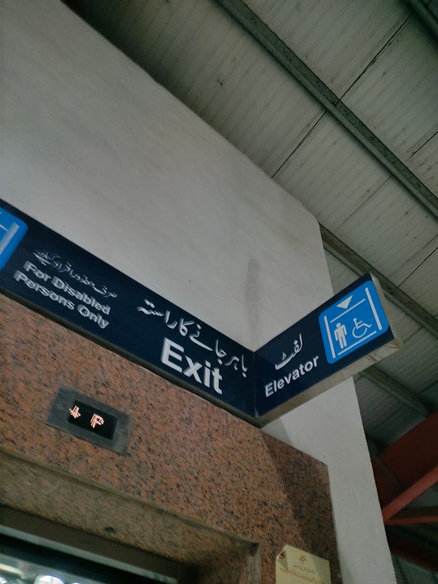 IMG_20251005_174352.jpg
