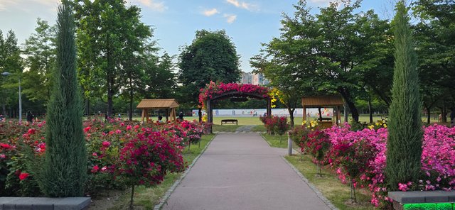 KakaoTalk_20250605_220126977_27.jpg