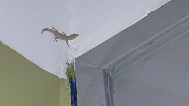 IMG_20250602_123457_374.jpg