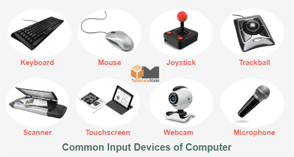 Input Devices of Computer (www.tutorialsmate.com).png