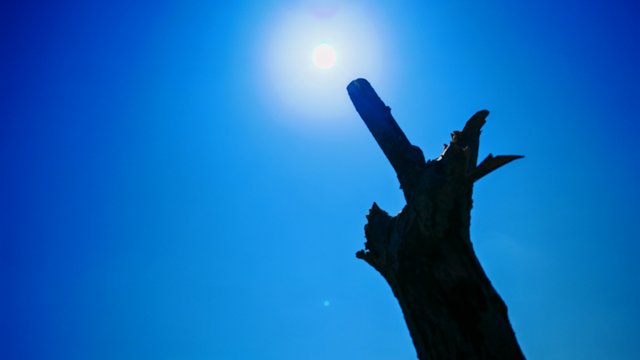 IMG_20250318_135138.jpg