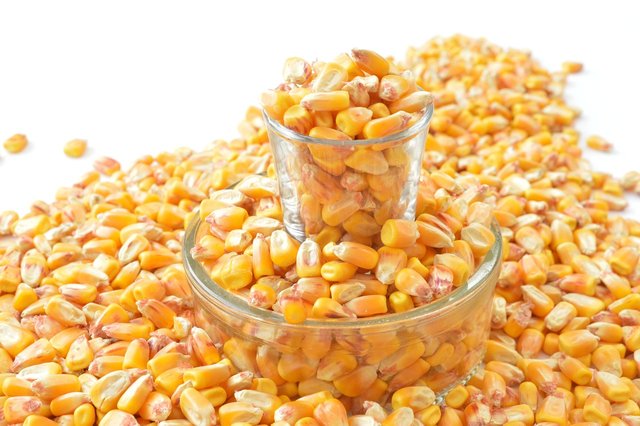 grains-1621884_1280.jpg