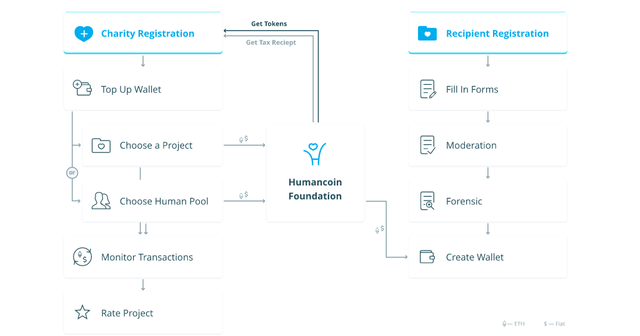 humancoin work.png