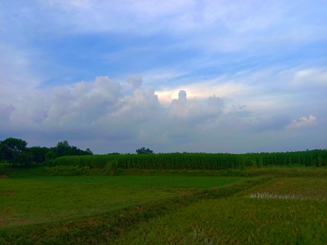 IMG_20250623_220154.jpg