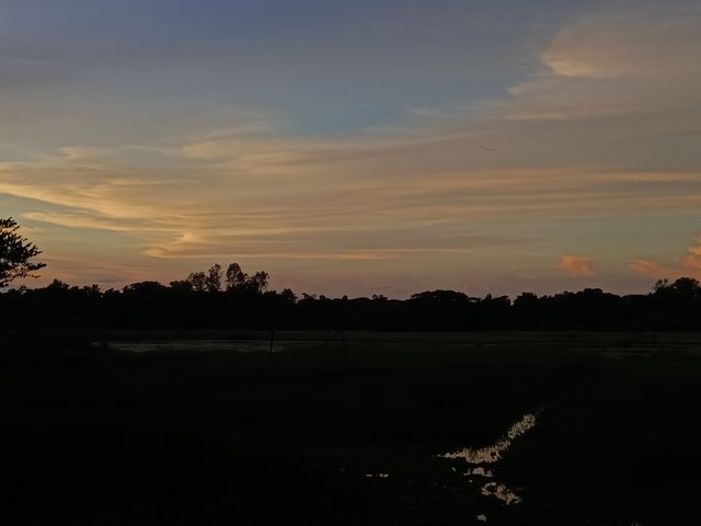 1000011083.jpg