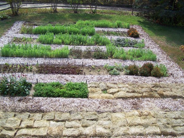 New Herb garden - mulched crop Oct. 2016.jpg