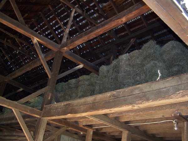 Barn loft1 crop August 08.jpg