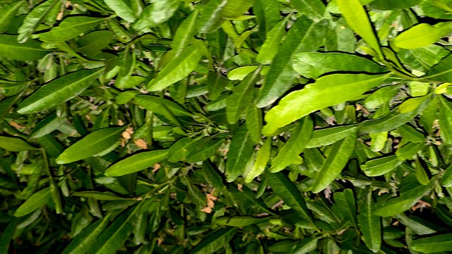 20250125_023334.jpg