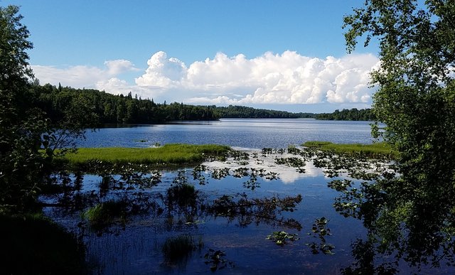 117 7-5 suneva lake smartphone.jpg