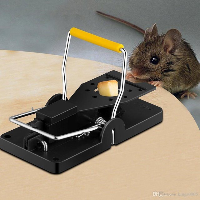 mouse-trap.jpg