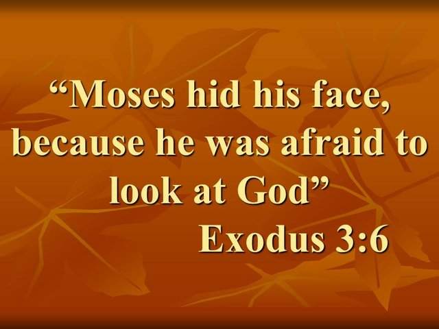 The vision of God in the bible. Moses hid his face, because he was afraid to look at God. Exodus 3,6.jpg