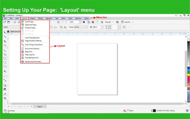 A Step-by-Step Guide corel  'Layout' menu.jpg