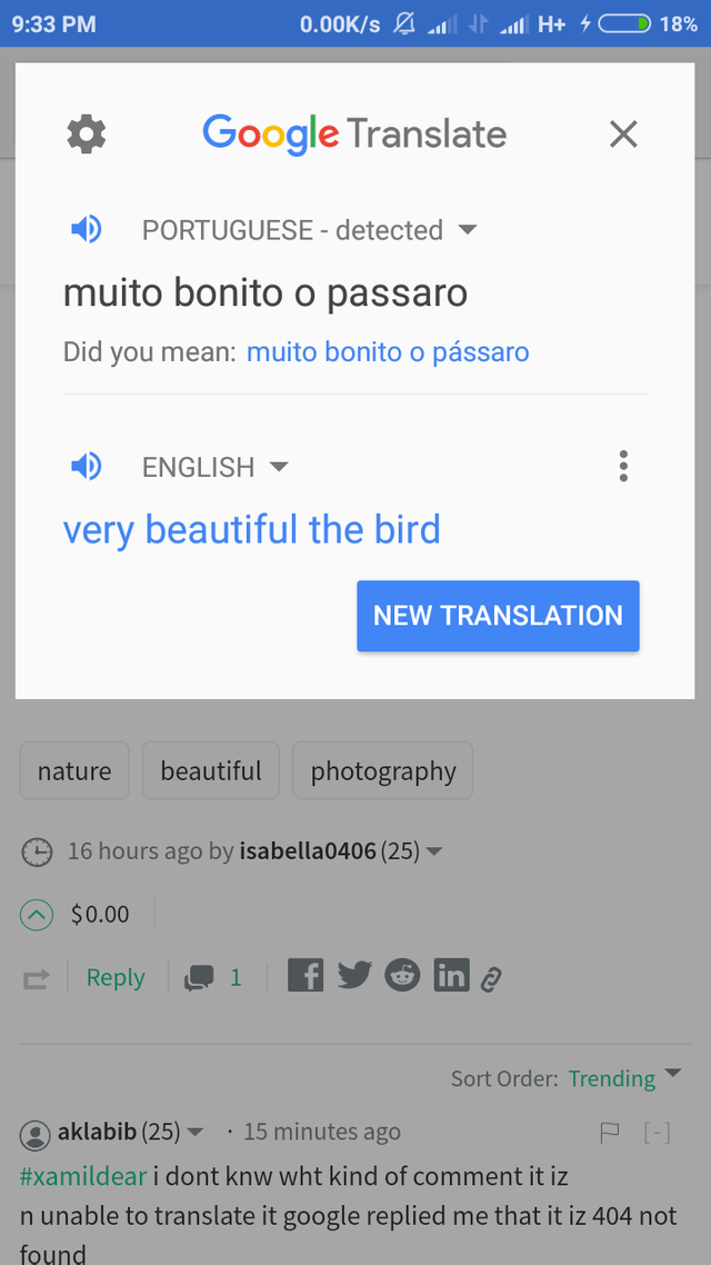 Screenshot_2018-09-04-21-33-24-648_com.google.android.apps.translate.png