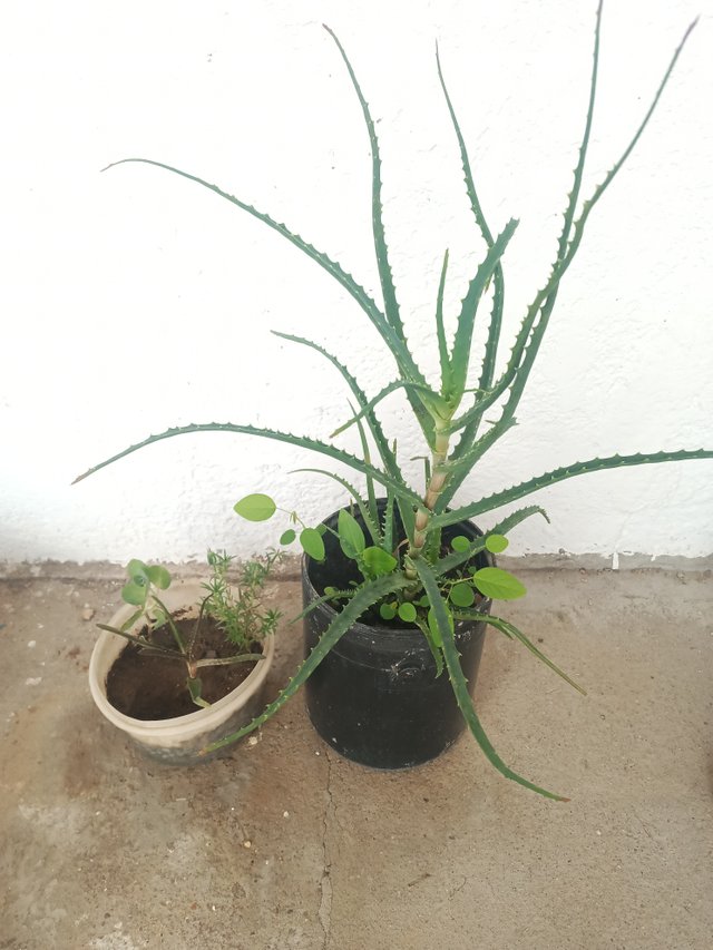 IMG-kdldl.jpg