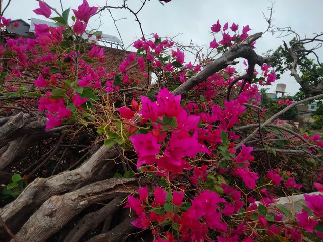 IMG20250716164328.jpg