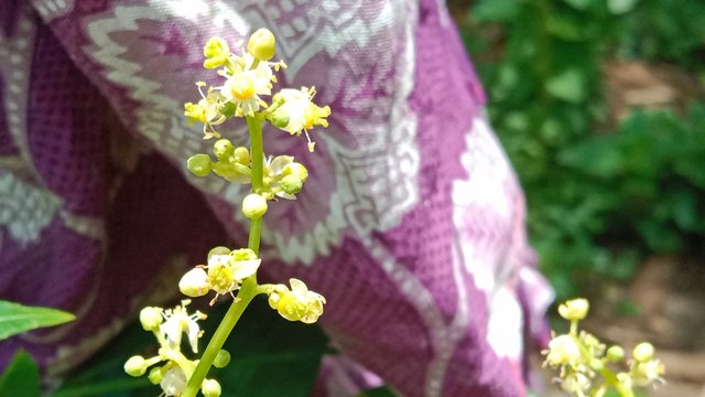 IMG_20250801_113411.jpg