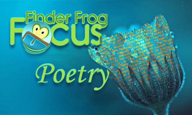 Finder Frog Cover on Poetry