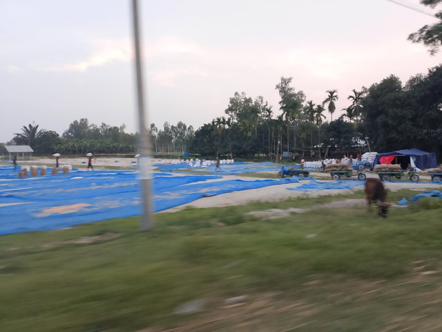 1000041520.jpg