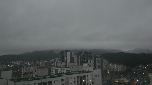 1000142335.jpg