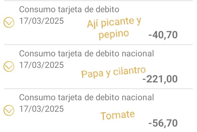 1742213032696.jpg