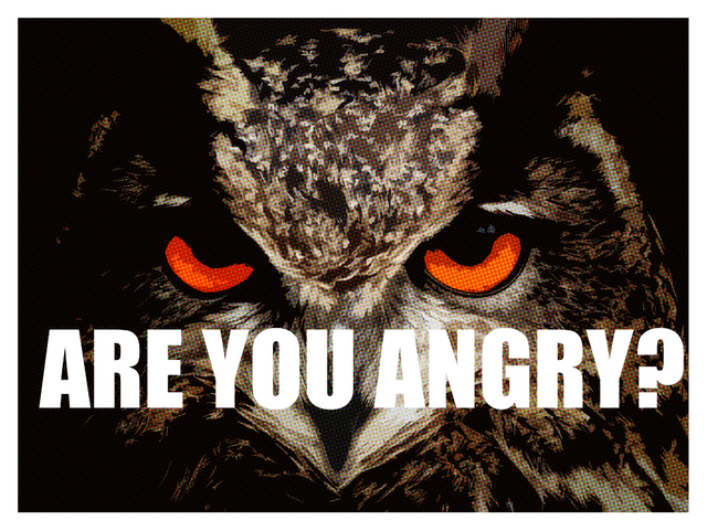 angry_owl.png
