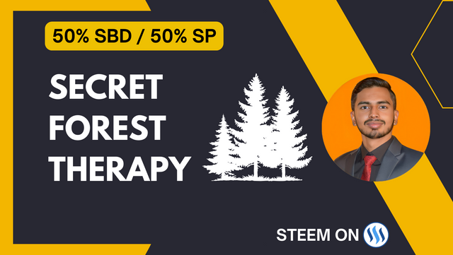 Thumbnail Secret Forest Therapy.png