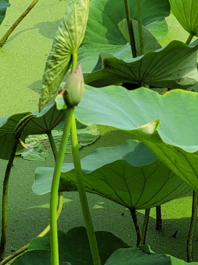20210708_150540.jpg
