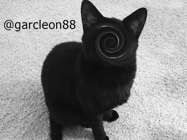 gato-negro-sentado2.jpg