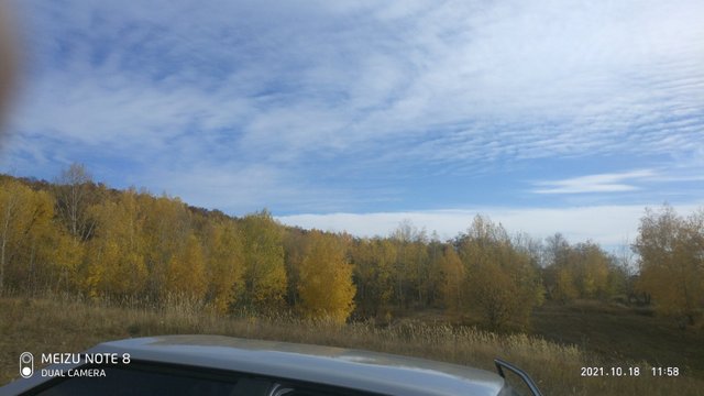 IMG-d36a18bce308d9db0385e6c91606212d-V.jpg