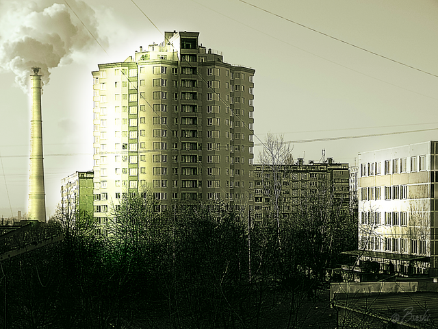 1eeerrDSC04502 (1).png