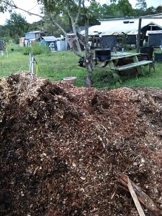 mulch pile.jpg
