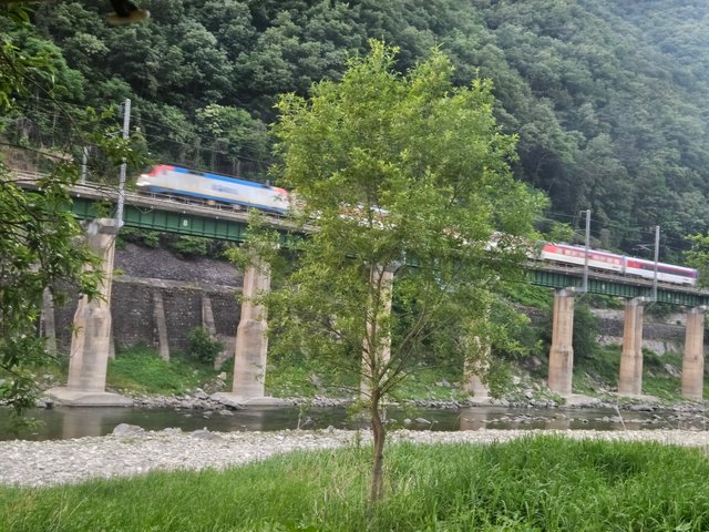 1000018299.jpg