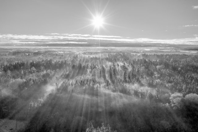 201207 Oha Nebel Sonne 3--Foto-Exporte-2.jpg