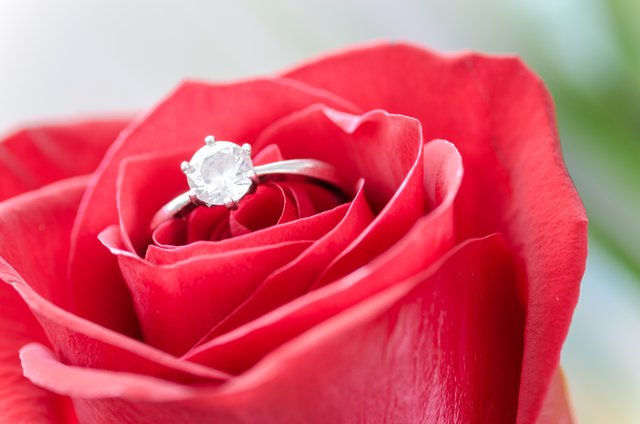 silver-diamond-embed-ring-on-red-rose-633857.jpg