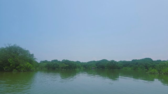 20250609_111022.jpg