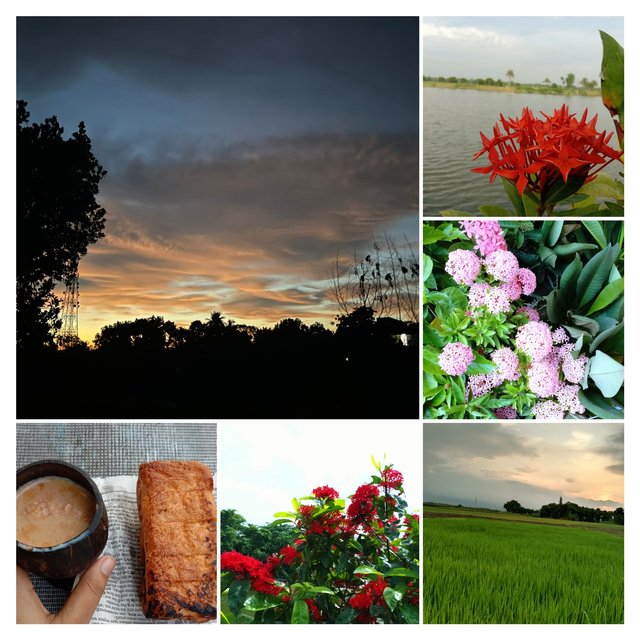 FunPic_20250618_075809126.jpg