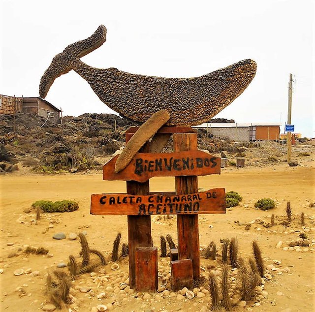 bienvenidos caleta chanaral.JPG