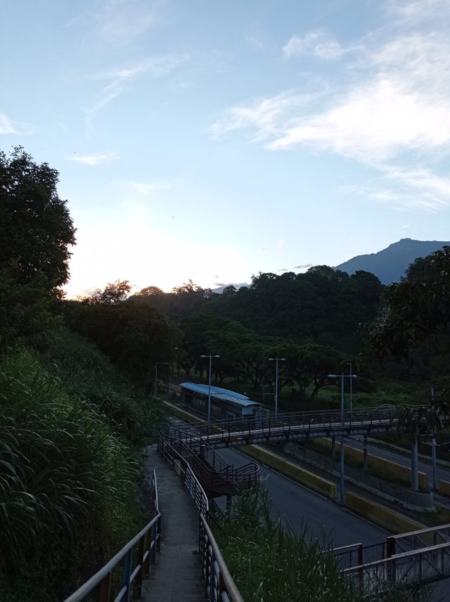 IMG_20210707_065322.jpg