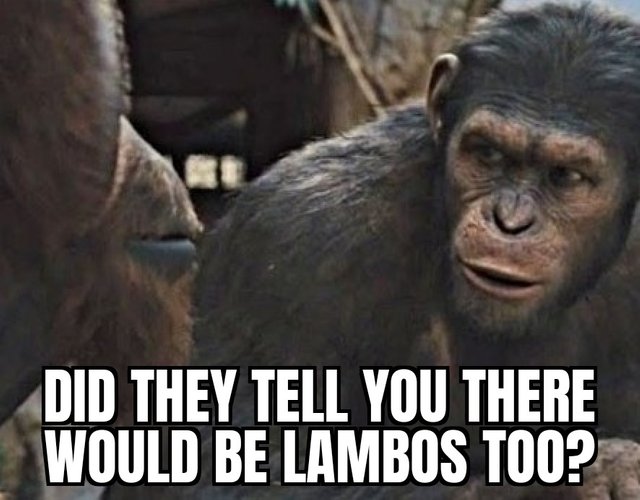 ZomboMeme 07052024090904.jpg