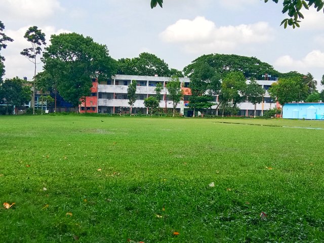 IMG_20250720_073519.jpg