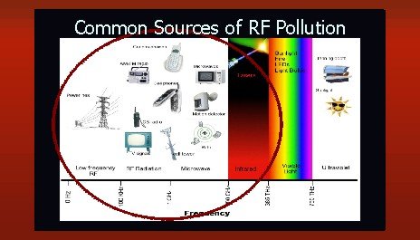 EMF POLLUTION.jpg